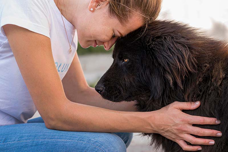 Tierheimsponsoring – eine außergewöhnliche und hilfreiche Idee