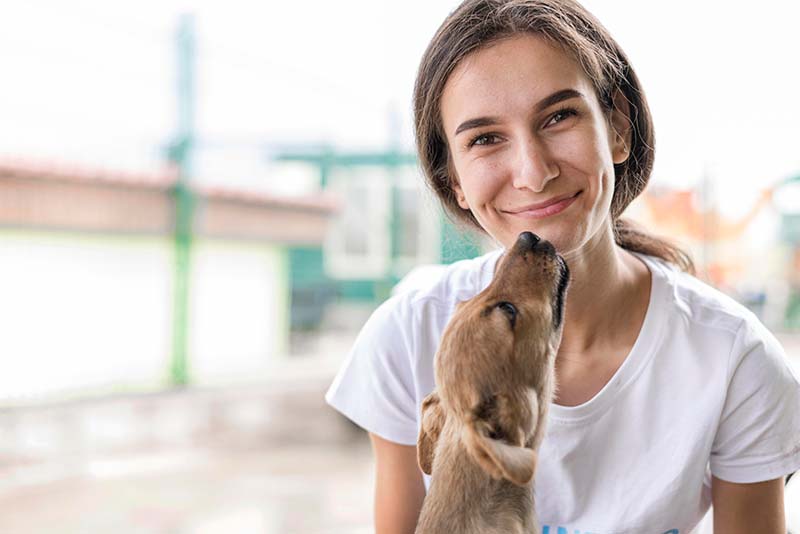 Tierheimsponsoring – eine außergewöhnliche und hilfreiche Idee