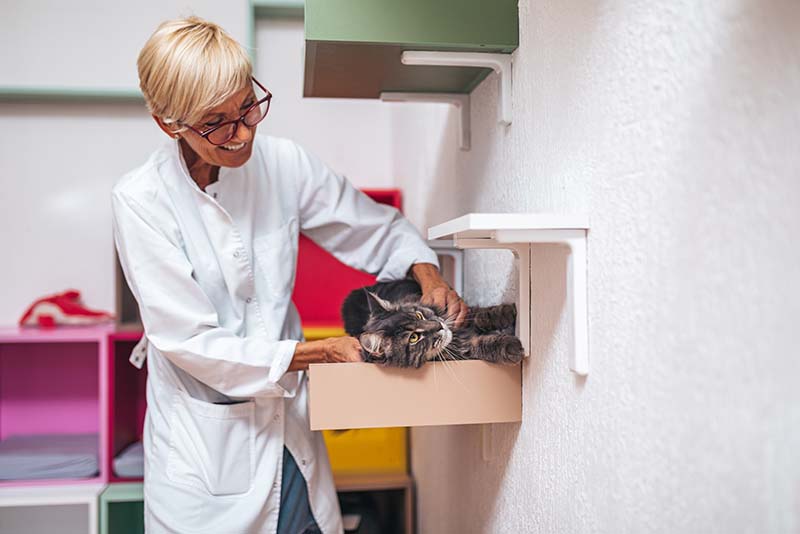 Tierheimsponsoring – eine außergewöhnliche und hilfreiche Idee